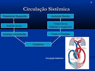 Circulação SistêmicaCirculação Sistêmica
9
Ventrículo Esquerdo
Artéria Aorta
Artérias e Arteríolas
Capilares
Veias e Vênulas
Veias Cavas
(inferior e superior)
Aurícula Direita
Circulação Sistêmica
 