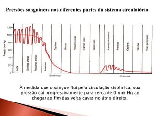 Pressões sanguíneas nas diferentes partes do sistema circulatório




      À medida que o sangue flui pela circulação sistêmica, sua
      pressão cai progressivamente para cerca de 0 mm Hg ao
           chegar ao fim das veias cavas no átrio direito.
 