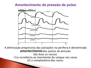 Amortecimento da pressão de pulso




A diminuição progressiva das pulsações na periferia é denominada
            amortecimento dos pulsos de pressão.
                         São duas as causas:
       (1)a resistência ao movimento do sangue nos vasos
                   (2) a complacência dos vasos.
 