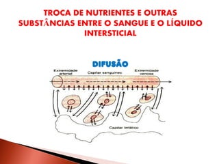 TROCA DE NUTRIENTES E OUTRAS
SUBSTÂNCIAS ENTRE O SANGUE E O LÍQUIDO
             INTERSTICIAL


               DIFUSÃO
 