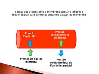 Forças que atuam sobre a membrana capilar e tendem a
mover líquido para dentro ou para fora através da membrana




                                  Pressão
         Pressão
                              coloidosmótica
        Capilar (Pc)
                                do plasma




      Pressão do líquido           Pressão
          interstical        coloidosmótica do
                             líquido intersticial
 