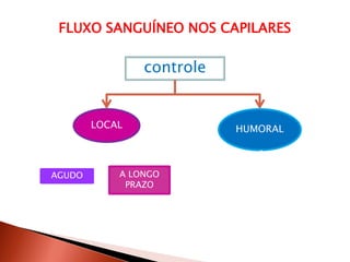 FLUXO SANGUÍNEO NOS CAPILARES

                controle


        LOCAL              HUMORAL



AGUDO       A LONGO
             PRAZO
 