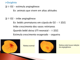 Oxigênio
 ⇓ O2 – estimula angiogênese
      Ex: animais que vivem em altas altitudes


 ⇑ O2 – inibe angiogênese
      Ex: bebês prematuros em cúpula de O2 - ⇑ [O2]
      Inibe crescimento dos vasos retinianos
      Quando bebê deixa UTI neonatal - ⇓ [O2]
      Estimula crescimento exagerado - cegueira
 