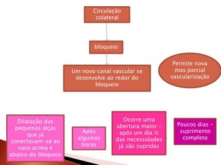 Circulação
                             colateral




                             bloqueio


                                                        Permite nova
                     Um novo canal vascular se           mas parcial
                      desenvolve ao redor do           vascularização
                            bloqueio




   Dilatação das                       Ocorre uma
                                    abertura maior –     Poucos dias –
  pequenas alças
                         Após        após um dia ½        suprimento
       que já
                       algumas      das necessidades       completo
conectavam-se ao
                        horas        já são supridas
   vaso acima e
abaixo do bloqueio
 