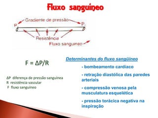 Fluxo sanguíneo




                                    Determinantes do fluxo sangüíneo
          F = ∆P/R                         - bombeamento cardíaco
                                           - retração diastólica das paredes
∆P diferença de pressão sanguínea
                                           arteriais
R resistência vascular
F fluxo sanguíneo                          - compressão venosa pela
                                           musculatura esquelética
                                           - pressão torácica negativa na
                                           inspiração
 