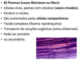 B) Floemas (vasos liberianos ou líber): Células vivas, apenas com celulose ( vasos crivados ). Perdem o núcleo. São sustentados pelas  células companheiras Tecido complexo (floema +parênquima) Transporte de soluções orgânicas (seiva elaborada) Pode ser primário  ou secundário.  