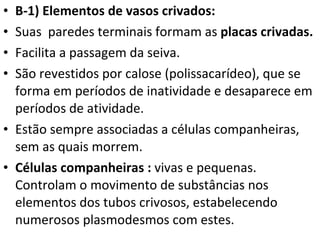 B-1) Elementos de vasos crivados:  Suas  paredes terminais formam as  placas crivadas.   Facilita a passagem da seiva.  São revestidos por calose (polissacarídeo), que se forma em períodos de inatividade e desaparece em períodos de atividade. Estão sempre associadas a células companheiras, sem as quais morrem.  Células companheiras :  vivas e pequenas. Controlam o movimento de substâncias nos elementos dos tubos crivosos, estabelecendo numerosos plasmodesmos com estes. 