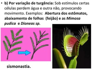 b) Por variação de turgência:  Sob estímulos certas células perdem água e outra não, provocando movimento. Exemplos:  Abertura dos estômatos, abaixamento de folhas  (feijão) e as  Mimosa pudica  e  Dioneas sp.  sismonastia. 