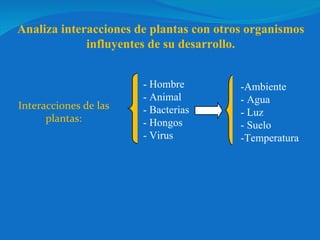 Interacciones de las plantas: - Hombre - Animal - Bacterias - Hongos - Virus -Ambiente - Agua - Luz - Suelo -Temperatura Analiza interacciones de plantas con otros organismos influyentes de su desarrollo. 