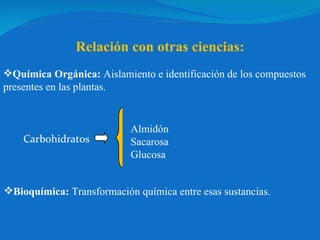 Relación con otras ciencias: Almidón Sacarosa Glucosa  Química Orgánica:  Aislamiento e identificación de los compuestos presentes en las plantas. Carbohidratos Bioquímica:  Transformación química entre esas sustancias. 