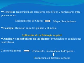Genética:  Transmisión de caracteres específicos y particulares entre generaciones. Mejoramiento de Cruces Ecología:  Relación entre las plantas y el medio. Aplicación de la fisiología vegetal: Analizar el metabolismo de las plantas:  Producción en condiciones controladas. Como se alimenta Producción en diferentes épocas Mayor Rendimiento  Umbráculo,  invernadero, hidroponía . 