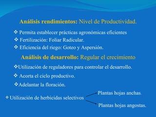 Análisis rendimientos:  Nivel de Productividad. Permita establecer prácticas agronómicas eficientes Análisis de desarrollo:  Regular el crecimiento Utilización de reguladores para controlar el desarrollo. Fertilización: Foliar Radicular. Eficiencia del riego: Goteo y Aspersión. Acorta el ciclo productivo. Adelantar la floración. Utilización de herbicidas selectivos Plantas hojas anchas . Plantas hojas angostas. 