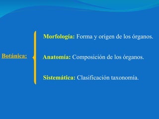Botánica:   Morfología:   Forma y origen de los órganos. Anatomía:   Composición de los órganos. Sistemática:   Clasificación taxonomía. 