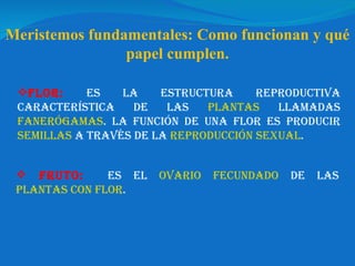 Fruto:   Es el  ovario   fecundado  de las  plantas con   flor . Flor:   Es la estructura reproductiva característica de las  plantas  llamadas  fanerógamas . La función de una flor es producir  semillas  a través de la  reproducción sexual . Meristemos fundamentales: Como funcionan y qué papel cumplen. 