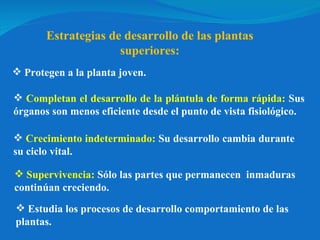 Estrategias de desarrollo de las plantas superiores: Protegen a la planta joven. Estudia los procesos de desarrollo comportamiento de las plantas. Completan el desarrollo de la plántula de forma rápida:  Sus órganos son menos eficiente desde el punto de vista fisiológico.  Crecimiento indeterminado:  Su desarrollo cambia durante su ciclo vital. Supervivencia:  Sólo las partes que permanecen  inmaduras continúan creciendo. 