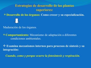 Desarrollo de los órganos:  Como crecer y su especialización. Maduración de los órganos . Comportamiento:   Mecanismo de adaptación a diferentes  condiciones ambientales. Examina mecanismos internos para procesos de síntesis y su integración: Cuando, como y porque ocurre la fotosíntesis y respiración. Estrategias de desarrollo de las plantas superiores: 