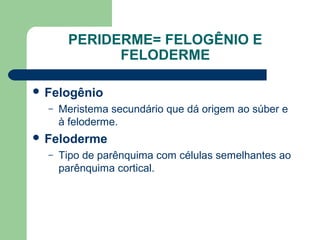 PERIDERME= FELOGÊNIO E
             FELODERME

 Felogênio
  –   Meristema secundário que dá origem ao súber e
      à feloderme.
 Feloderme
  –   Tipo de parênquima com células semelhantes ao
      parênquima cortical.
 