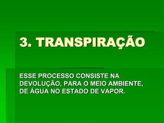 3. TRANSPIRAÇÃO
ESSE PROCESSO CONSISTE NA
DEVOLUÇÃO, PARA O MEIO AMBIENTE,
DE ÁGUA NO ESTADO DE VAPOR.
 
