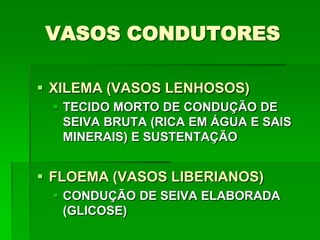 VASOS CONDUTORES
 XILEMA (VASOS LENHOSOS)
 TECIDO MORTO DE CONDUÇÃO DE
SEIVA BRUTA (RICA EM ÁGUA E SAIS
MINERAIS) E SUSTENTAÇÃO
 FLOEMA (VASOS LIBERIANOS)
 CONDUÇÃO DE SEIVA ELABORADA
(GLICOSE)
 