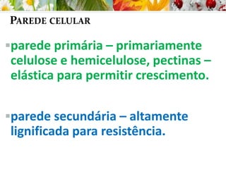 PAREDE CELULAR
parede primária – primariamente
celulose e hemicelulose, pectinas –
elástica para permitir crescimento.
parede secundária – altamente
lignificada para resistência.
 