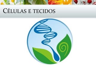 CÉLULAS E TECIDOS
 