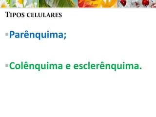 TIPOS CELULARES
Parênquima;
Colênquima e esclerênquima.
 