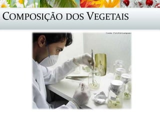 COMPOSIÇÃO DOS VEGETAIS
 