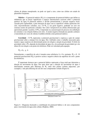 43
xilema de plantas transpirando, ou pode ser igual a zero, como nas células em estado de
plasmólise incipiente.
Mátrico – O potencial mátrico (Ψm) é o componente do potencial hídrico que define as
influências que as forças superficiais e espaços intermicelares exercem sobre o potencial
químico da água O potencial mátrico é devido primariamente à pressão negativa local,
causada pela capilaridade, e pela interação da água com as superfícies sólidas (partículas dos
solo, macromoléculas coloidais, etc.). O Ψm é, em geral negativo, podendo ser zero em
sistemas isentos de partículas coloidais. Seu valor é desprezível em células diferenciadas que
apresentam grandes vacúolos. O Ψm é importante na caracterização do processo de embebição
de sementes e nas relações hídricas de solos. A tensão negativa formada nas paredes celulares
e transmitida aos vasos do xilema é também referida como potencial mátrico.
Gravidade – O Ψg representa o potencial gravitacional e expressa a ação do campo
gravitacional sobre a energia livre da água. Ele é definido como o trabalho necessário para
manter a água suspensa em determinado ponto em relação a atração da gravidade. O efeito da
gravidade sobre o Ψw depende da densidade da água (∂w), da aceleração da gravidade (g) e da
altura (h) em relação a um ponto de referência. Pode ser calculado pela equação:
Ψg = ∂w . g . h
Normalmente, a superfície do solo é tomada como referência, h = 0 e, portanto, Ψg = 0. O
potencial gravitacional (Ψg) é positivo acima e negativo abaixo da superfície do solo ( ponto
de referência).
É importante destacar que o potencial hídrico representa a força total que determina a
direção do movimento da água. Isto quer dizer que a direção do movimento de água é
determinada somente pela diferença de Ψw entre dois pontos (células adjacentes, por
exemplo), e não pela diferença de um dos seus componentes isolado (Figura 6).
Figura 6 - Diagrama ilustrando a contribuição do potencial hídrico e de seus componentes
para o movimento de água entre células (Hopkins, 2000)
ΨS = - 0.5ΨS = - 0.5
 