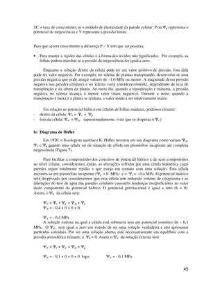45
TC = taxa de crescimento; m = módulo de elasticidade da parede celular; P ou Ψp representa o
potencial de turgescência e Y representa a pressão limite.
Para que ocorra crescimento a diferença P – Y tem que ser positiva.
• Para manter a rigidez das células e a forma dos tecidos não lignificados. Por exemplo, as
folhas podem murchar se a pressão de turgescência for igual a zero.
Enquanto a solução dentro da célula pode ter um valor positivo de pressão, fora dela
pode ter valor negativo. Por exemplo, no xilema de plantas transpirando, desenvolve-se uma
pressão negativa que pode atingir valores de –1,0 MPa ou menor. A magnitude dessa pressão
negativa nas paredes celulares e no xilema varia consideravelmente, dependendo da taxa de
transpiração e da altura da planta. Ao meio dia, quando a transpiração é máxima, a pressão
negativa no xilema alcança o menor valor (mais negativo). Durante a noite, quando a
transpiração é baixa e a planta se reidrata, o valor tende a ser relativamente maior.
Em relação ao potencial hídrico em células de folhas maduras, podemos resumir:
- dentro da célula: Ψw = Ψs + Ψp
- fora da célula: Ψw = Ψm (aproximadamente, visto que se despreza o Ψs )
b) Diagrama de Höfler
Em 1920, o fisiologista austríaco K. Höfler mostrou em um diagrama como variam Ψw,
Ψs e Ψp quando uma célula sai da situação de célula em plasmólise incipiente até completa
turgescência (Figura 7).
Para facilitar a compreensão dos conceitos de potencial hídrico e de seus componentes
ao nível celular, consideremos, então, as alterações sofridas por uma célula hipotética cujas
paredes sejam totalmente rígidas e que esteja em contato com uma solução. Esta célula
encontra-se em plasmólise incipiente (Ψp = 0 MPa) e o Ψs = - 0,4 MPa. O potencial mátrico
será desprezado por considerarmos que esta célula tem reduzido volume de citoplasma e as
alterações do teor de água das paredes celulares causarem mudanças insignificantes no valor
deste componente do potencial hídrico. O potencial gravitacional é igual a zero (h = 0).
Assim, o Ψw da célula será:
Ψw = Ψs + Ψp + Ψm + Ψg
Ψw = - 0,4 + 0 + 0 + 0
Ψw = - 0,4 MPa
A solução externa na qual a célula está submersa tem um potencial osmótico de – 0,1
MPa. O Ψm será igual a zero em virtude de ser uma solução verdadeira e não apresentar
partículas coloidais. Por ser uma solução aberta, está necessariamente em equilíbrio com a
pressão atmosférica reinante, e Ψp = 0. Assim o Ψw da solução externa será:
Ψw = Ψs + Ψp + Ψm + Ψg
Ψw = - 0,1 + 0 + 0 + 0 logo: Ψw = - 0,1 MPa
 
