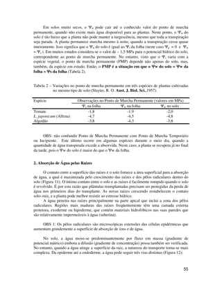 55
Em solos muito secos, o Ψw pode cair até o conhecido valor do ponto de murcha
permanente, quando não existe mais água disponível para as plantas. Neste ponto, o Ψw do
solo é tão baixo que a planta não pode manter a turgescência, mesmo que toda a transpiração
seja parada. A planta permanece murcha mesmo à noite, quando a transpiração cessa quase
inteiramente. Isso significa que o Ψw do solo é igual ao Ψs da folha (neste caso Ψp = 0 e Ψw
= Ψs ). Em muitos estudos considera-se o valor de – 1,5 MPa para o potencial hídrico do solo,
correspondente ao ponto de murcha permanente. No entanto, visto que o Ψs varia com a
espécie vegetal, o ponto de murcha permanente (PMP) depende não apenas do solo, mas,
também, da espécie em estudo. Então, o PMP é a situação em que o ΨΨΨΨw do solo = ΨΨΨΨw da
folha = ΨΨΨΨs da folha (Tabela 2).
Tabela 2 – Variações no ponto de murcha permanente em três espécies de plantas cultivadas
no mesmo tipo de solo (Slayter, R. O. Aust. J. Biol. Sci.,1957).
Espécie Observações no Ponto de Murcha Permanente (valores em MPa)
Ψs na folha Ψw na folha Ψw no solo
Tomate -1,8 -1,9 -2,0
L. japonicum (Alfena) -4,7 -4,5 -4,8
Algodão -3,8 -4,3 -3,8
OBS: não confundir Ponto de Murcha Permanente com Ponto de Murcha Temporário
ou Incipiente. Este último ocorre em algumas espécies durante o meio dia, quando a
quantidade de água transpirada excede a absorvida. Neste caso, a planta se recupera já no final
da tarde, pois o Ψw do solo é maior do que o Ψw da folha.
2. Absorção de Água pelas Raízes
O contato entre a superfície das raízes e o solo fornece a área superficial para a absorção
de água, a qual é maximizada pelo crescimento das raízes e dos pêlos radiculares dentro do
solo (Figura 11). O íntimo contato entre o solo e as raízes é facilmente rompido quando o solo
é revolvido. É por esta razão que plântulas transplantadas precisam ser protegidas da perda de
água nos primeiros dias do transplante. As novas raízes crescendo restabelecem o contato
solo–raiz, e a planta pode melhor resistir ao estresse hídrico.
A água penetra nas raízes principalmente na parte apical que inclui a zona dos pêlos
radiculares. Regiões mais maduras das raízes freqüentemente têm uma camada externa
protetora, exoderme ou hipoderme, que contém materiais hidrofóbicos nas suas paredes que
são relativamente impermeáveis à água (suberina).
OBS 1: Os pêlos radiculares são microscópicas extensões das células epidérmicas que
aumentam grandemente a superfície de absorção de íons e de água.
No solo, a água move-se predominantemente por fluxo em massa (gradiente de
potencial mátrico) embora a difusão (gradiente de concentração) possa também ser verificada.
No entanto, quando a água atinge a superfície da raiz, a natureza do transporte torna-se mais
complexa. Da epiderme até a endoderme, a água pode seguir três vias distintas (Figura 12):
 