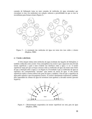 38
camadas de hidratação (uma ou mais camadas de moléculas de água orientadas) que
circundam os íons (ou moléculas) em solução, reduzem a possibilidade de que os íons se
recombinem para formar cristais (Figura 3).
Figura 3 – A orientação das moléculas de água em torno dos íons sódio e cloreto
(Hopkins, 2000)
e) Coesão e aderência
A forte atração mútua entre moléculas de água resultante das ligações de hidrogênio, é
também conhecida como coesão. Uma conseqüência da coesão é que a água tem uma elevada
tensão superficial, a qual é mais evidente nas interfaces entre a água e o ar. A tensão
superficial surge por que as forças coesivas entre as moléculas de água são muito mais fortes
do que a interação entre a água e o ar (Figura 4). O resultado é que as moléculas de água na
superfície são constantemente “puxadas” para dentro da massa de água. A alta tensão
superficial explica a forma esférica das gotas de água e, também, o fato de que a superfície da
água pode suportar o peso de pequenos insetos. A coesão é diretamente responsável, também,
pela capacidade de colunas de água de resistirem (sem quebrar) a elevadas tensões (pressão
negativa).
Figura 4 – Demonstração esquemática da tensão superficial em uma gota de água
(Hopkins, 2000)
 