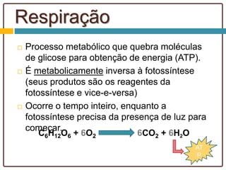  Processo metabólico que quebra moléculas
de glicose para obtenção de energia (ATP).
 É metabolicamente inversa à fotossíntese
(seus produtos são os reagentes da
fotossíntese e vice-e-versa)
 Ocorre o tempo inteiro, enquanto a
fotossíntese precisa da presença de luz para
começar.
C6H12O6 + 6O2 6CO2 + 6H2O
AT
P
Respiração
 