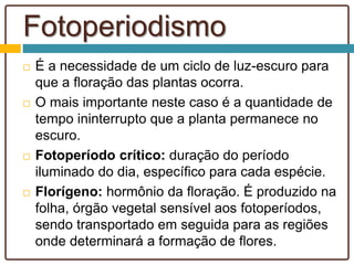Fotoperiodismo
 É a necessidade de um ciclo de luz-escuro para
que a floração das plantas ocorra.
 O mais importante neste caso é a quantidade de
tempo ininterrupto que a planta permanece no
escuro.
 Fotoperíodo crítico: duração do período
iluminado do dia, específico para cada espécie.
 Florígeno: hormônio da floração. É produzido na
folha, órgão vegetal sensível aos fotoperíodos,
sendo transportado em seguida para as regiões
onde determinará a formação de flores.
 