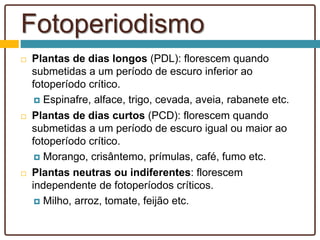 Fotoperiodismo
 Plantas de dias longos (PDL): florescem quando
submetidas a um período de escuro inferior ao
fotoperíodo crítico.
 Espinafre, alface, trigo, cevada, aveia, rabanete etc.
 Plantas de dias curtos (PCD): florescem quando
submetidas a um período de escuro igual ou maior ao
fotoperíodo crítico.
 Morango, crisântemo, prímulas, café, fumo etc.
 Plantas neutras ou indiferentes: florescem
independente de fotoperíodos críticos.
 Milho, arroz, tomate, feijão etc.
 