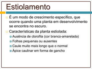Estiolamento
 É um modo de crescimento específico, que
ocorre quando uma planta em desenvolvimento
se encontra no escuro.
 Características da planta estiolada:
 Ausência de clorofila (cor branco-amarelada)
 Folhas pequenas ou ausentes
 Caule muito mais longo que o normal
 Ápice caulinar em forma de gancho
 