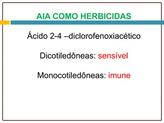 AIA COMO HERBICIDAS
Ácido 2-4 –diclorofenoxiacético
Dicotiledôneas: sensível
Monocotiledôneas: imune
 