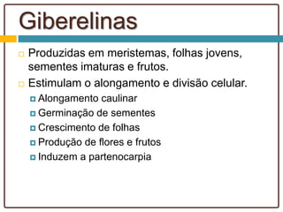 Giberelinas
 Produzidas em meristemas, folhas jovens,
sementes imaturas e frutos.
 Estimulam o alongamento e divisão celular.
 Alongamento caulinar
 Germinação de sementes
 Crescimento de folhas
 Produção de flores e frutos
 Induzem a partenocarpia
 