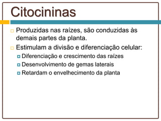 Citocininas
 Produzidas nas raízes, são conduzidas às
demais partes da planta.
 Estimulam a divisão e diferenciação celular:
 Diferenciação e crescimento das raízes
 Desenvolvimento de gemas laterais
 Retardam o envelhecimento da planta
 