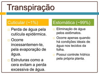 Transpiração
 Perda de água pela
cutícula epidérmica.
 Ocorre
incessantemen-te,
pela evaporação de
água.
 Estruturas como a
cera evitam a perda
excessiva de água.
 Eliminação de água
pelos estômatos.
 Ocorre apenas quando
há condições ideais de
água nos tecidos da
folha.
 Possui controle hídrico
pela própria planta.
Cuticular (~1%) Estomática (~99%)
 