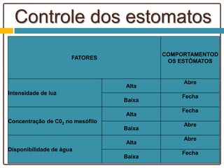 Controle dos estomatos
FATORES
COMPORTAMENTOD
OS ESTÔMATOS
Intensidade de luz
Alta
Abre
Baixa
Fecha
Concentração de C02 no mesófilo
Alta
Fecha
Baixa
Abre
Disponibilidade de água
Alta
Abre
Baixa
Fecha
 