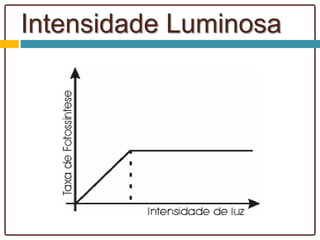 Intensidade Luminosa
 