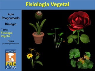 Aula
Programada
Biologia
Tema:
Fisiologia
Vegetal
Paulo
paulobhz@hotmail.com
Fisiologia Vegetal
 