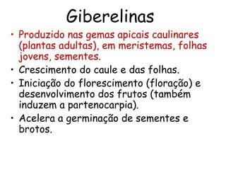 Giberelinas
• Produzido nas gemas apicais caulinares
(plantas adultas), em meristemas, folhas
jovens, sementes.
• Crescimento do caule e das folhas.
• Iniciação do florescimento (floração) e
desenvolvimento dos frutos (também
induzem a partenocarpia).
• Acelera a germinação de sementes e
brotos.
 