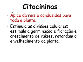 Citocininas
• Ápice da raiz e conduzidas para
toda a planta.
• Estimula as divisões celulares;
estimula a germinação e floração e
crescimento de raízes, retardam o
envelhecimento da planta.
 