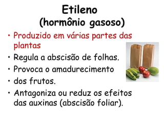 Etileno
(hormônio gasoso)
• Produzido em várias partes das
plantas
• Regula a abscisão de folhas.
• Provoca o amadurecimento
• dos frutos.
• Antagoniza ou reduz os efeitos
das auxinas (abscisão foliar).
 