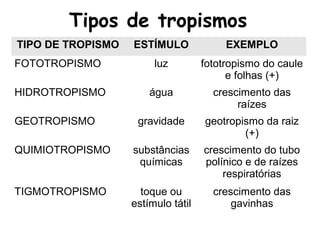 Tipos de tropismos
TIPO DE TROPISMO ESTÍMULO EXEMPLO
FOTOTROPISMO luz fototropismo do caule
e folhas (+)
HIDROTROPISMO água crescimento das
raízes
GEOTROPISMO gravidade geotropismo da raiz
(+)
QUIMIOTROPISMO substâncias
químicas
crescimento do tubo
polínico e de raízes
respiratórias
TIGMOTROPISMO toque ou
estímulo tátil
crescimento das
gavinhas
 