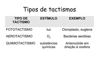 Tipos de tactismos
TIPO DE
TACTISMO
ESTÍMULO EXEMPLO
FOTOTACTISMO luz Cloroplasto, euglena
AEROTACTISMO O2
Bactérias aeróbias
QUIMIOTACTISMO substâncias
químicas
Anterozóide em
direção à oosfera
 