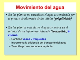 Movimiento del agua En las plantas no vasculares el agua es conducida por el proceso de absorción de las células  (poiquiloidría) En las plantas vasculares el agua se mueve en el interior de un tejido especializado  (homoioidría)   el xilema Contiene  vasos  y  traqueidas Incrementa la eficiencia del transporte del agua También provee soporte a la planta 
