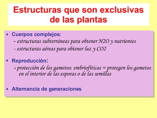 Estructuras que son exclusivas de las plantas Cuerpos complejos: -  estructuras subterráneas para obtener H2O y nutrientes - estructuras aéreas para obtener luz y CO2 Reproducción : -  protección de los gametos: embriofíticas = protegen los gametos en el interior de las esporas o de las semillas Alternancia de generaciones 