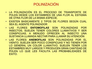 POLINIZACIÓN LA POLINIZACIÓN ES EL PROCESO DE TRANSPORTE DE POLEN DESDE LOS ESTAMBRES DE UNA FLOR AL ESTIGMA DE OTRA FLOR DE LA MISMA ESPECIE. EXISTEN BASICAMENTE 2 TIPOS DE FLORES SEGÚN CUAL SEA EL AGENTE POLINIZADOR LAS FLORES  ENTOMOFILAS  SON POLINIZADAS POR INSECTOS, SUELEN TENER COLORES LLAMATIVOS Y SER CONSPICUAS, A MENUDO OFRECEN AL INSECTO UNA SUSTANCIA LLAMADA NECTAR PARA LLAMAR SU ATENCIÓN LAS FLORES  ANEMOFILAS  SON POLINIZADAS POR EL VIENTO. SUELEN SER POCO CONSPICUAS Y NO TIENEN POR LO GENERAL UN COLOR LLAMATIVO. SUELEN TENER LOS ESTAMBRES MUY LARGOS Y PRODUCEN GRAN CANTIDAD DE POLEN LO QUE LES FACILITA LAS PROBABILIDADES DE ÉXITO. 